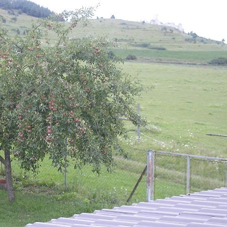מלון Spišské Podhradie Penzion Drevenik מראה חיצוני תמונה