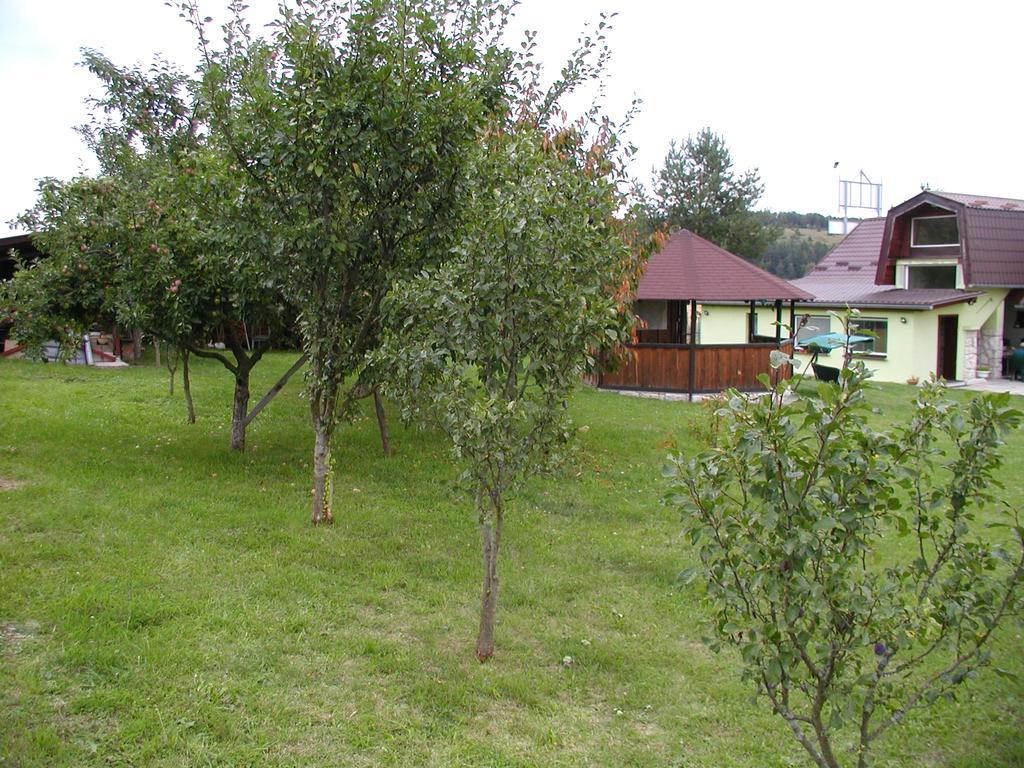 מלון Spišské Podhradie Penzion Drevenik מראה חיצוני תמונה